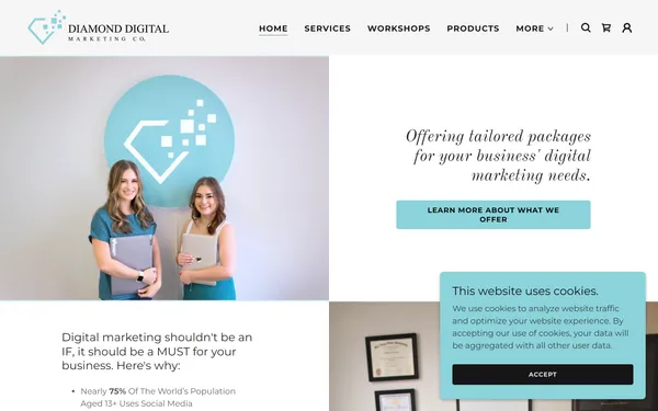 img of B2B Digital Marketing Agency - Diamond Digital Marketing Co.